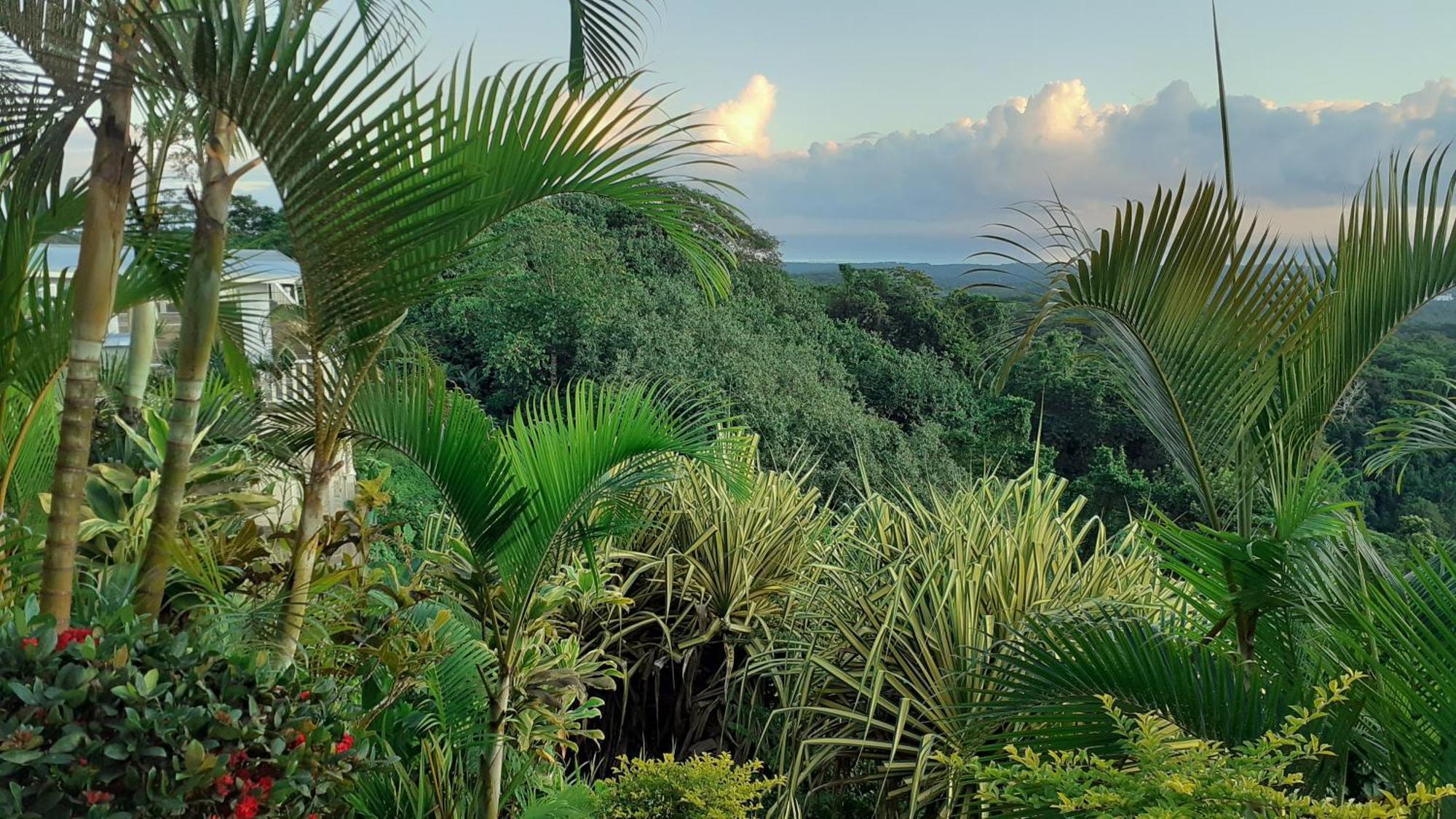 Dave Parker Eco Lodge Hotel Apia Eksteriør bilde