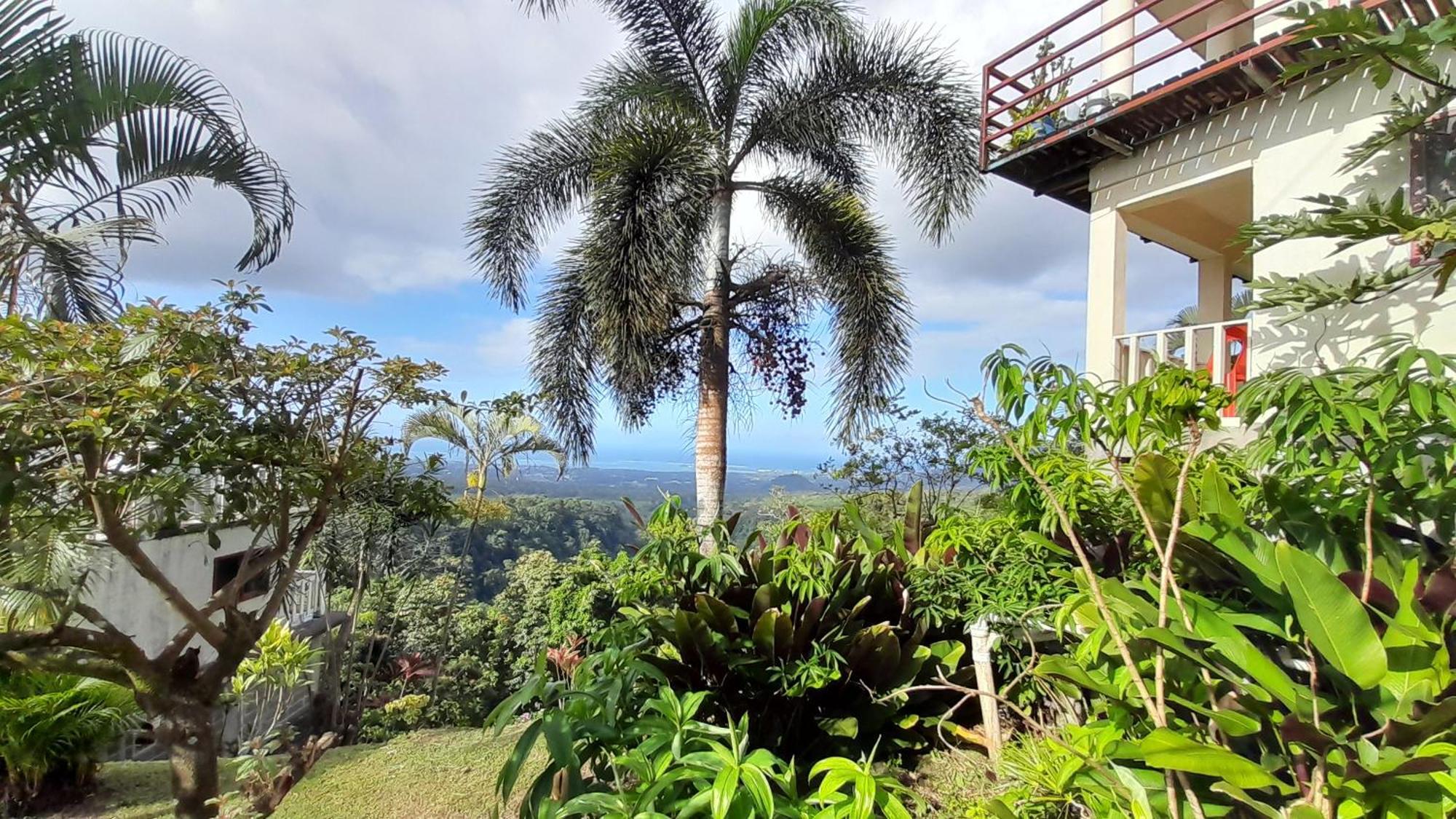 Dave Parker Eco Lodge Hotel Apia Eksteriør bilde
