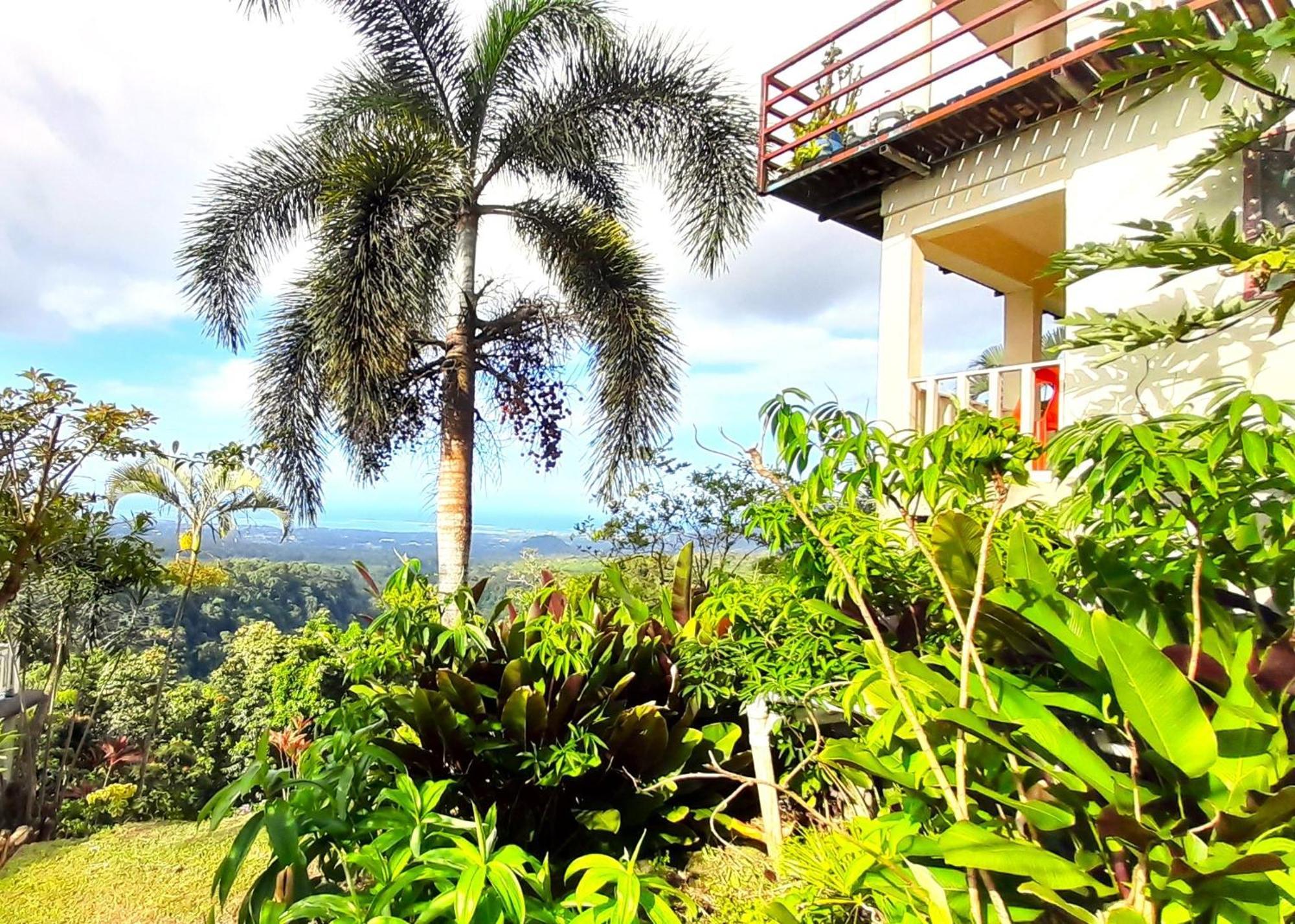 Dave Parker Eco Lodge Hotel Apia Eksteriør bilde