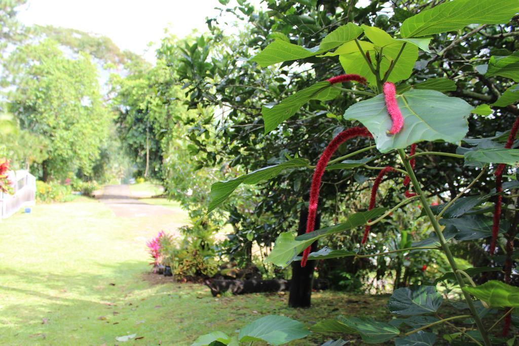Dave Parker Eco Lodge Hotel Apia Eksteriør bilde